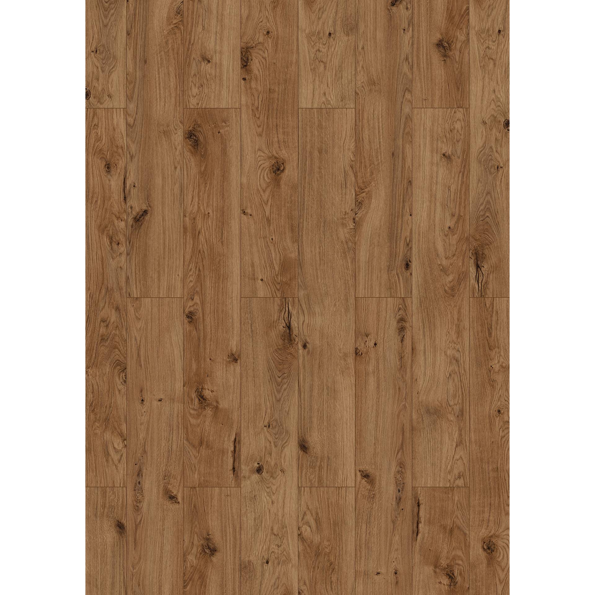 Classen Laminat 'Galaxy WR' Clifton Eiche naturfarben 8 mm Classen Laminat 'Galaxy WR' Clifton Eiche naturfarben 8 mm von Classen