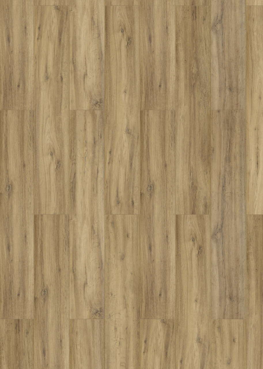 Classen Laminat Megaloc Aquaprotect 128,5 x 19,2 cm 8 mm Oak natural von Classen