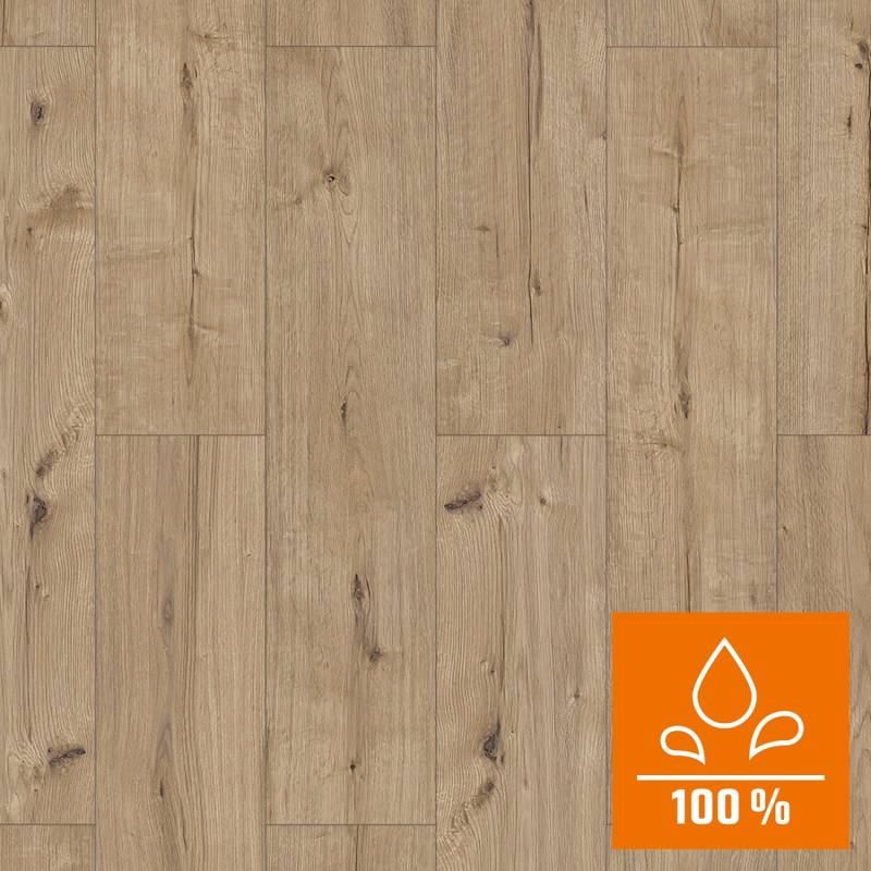 Classen XL Laminat 8 mm Wasserfest Eiche Greige von Classen