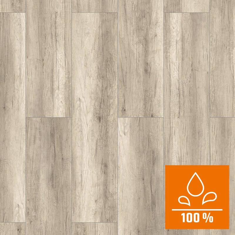 Classen XL Laminat 8 mm Wasserfest Eiche Grau von Classen