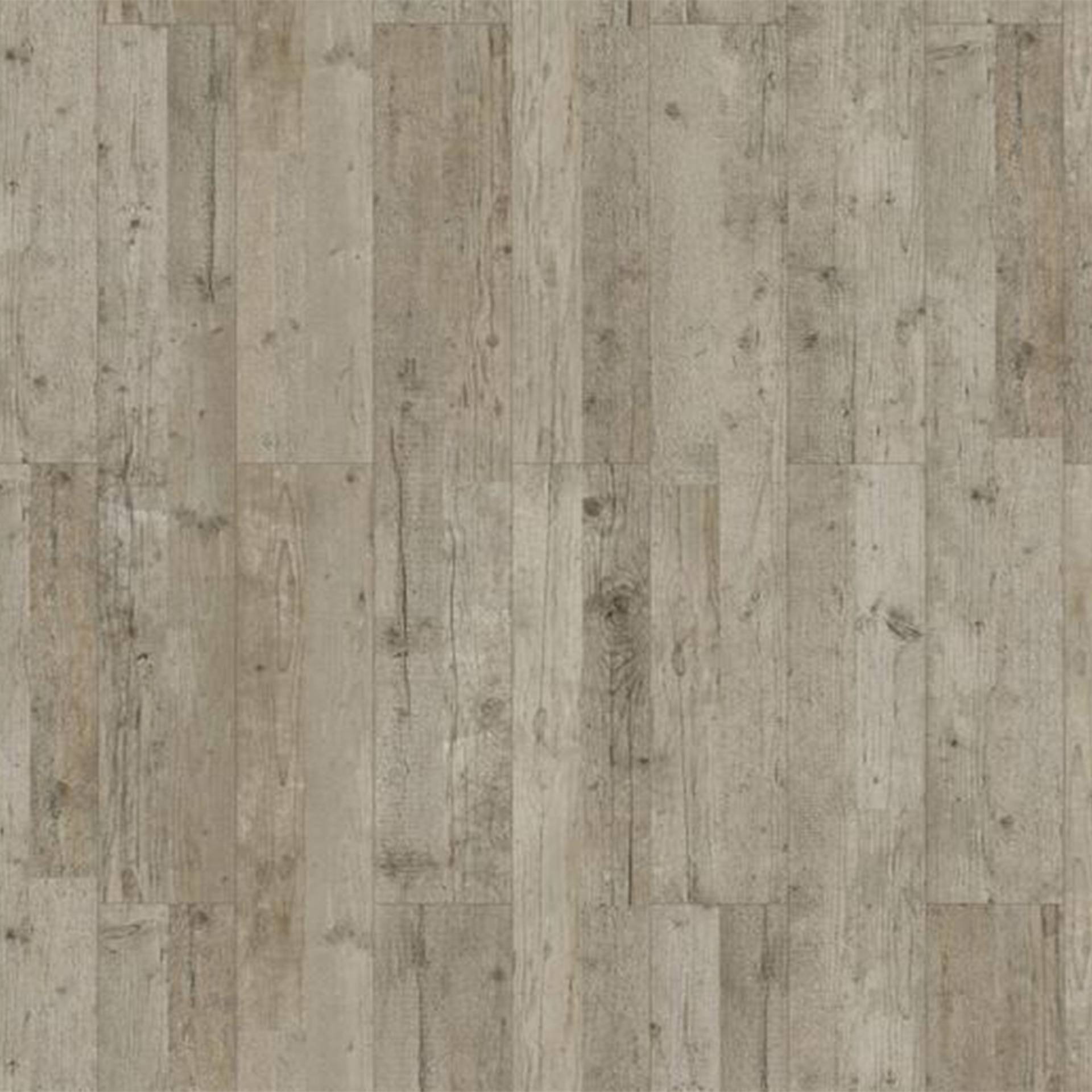 Classen Vinylboden 'Green Vinyl 4.0' Pinie piniefarben 4 mm Classen Vinylboden 'Green Vinyl 4.0' Pinie piniefarben 4 mm von Classen