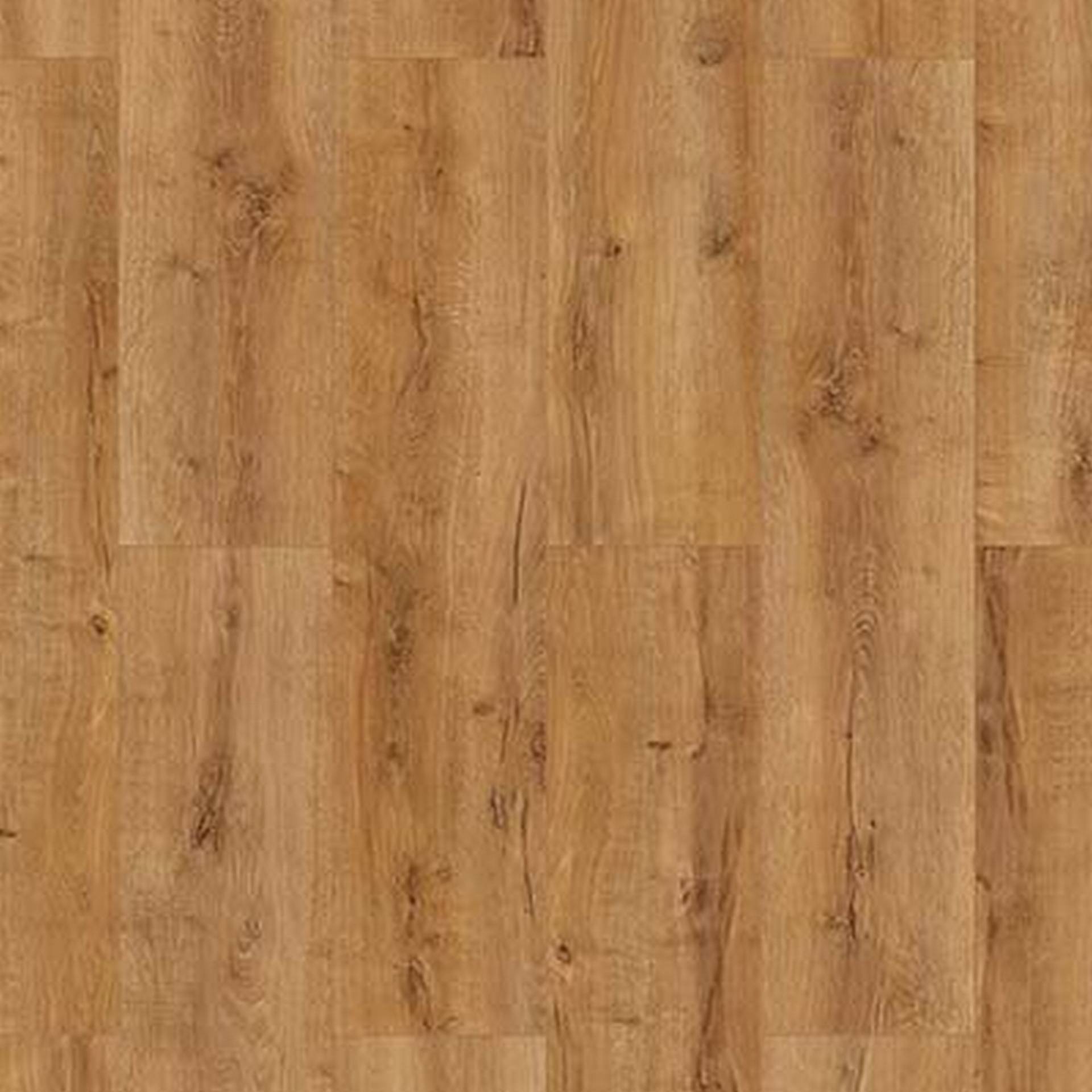 Classen Laminat '832-4 WR' Eiche natur hell 8 mm von Classen