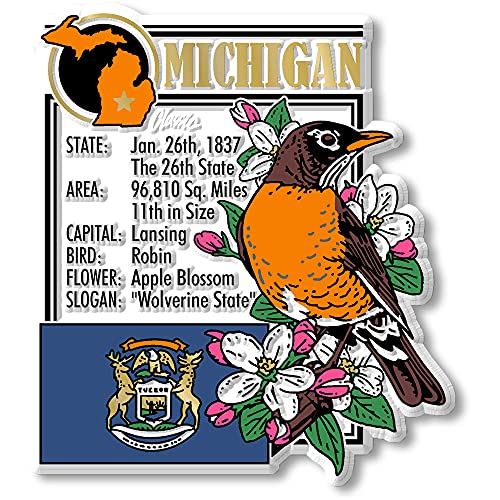 State Geschichte Magnet Michigan von Classic Accessories