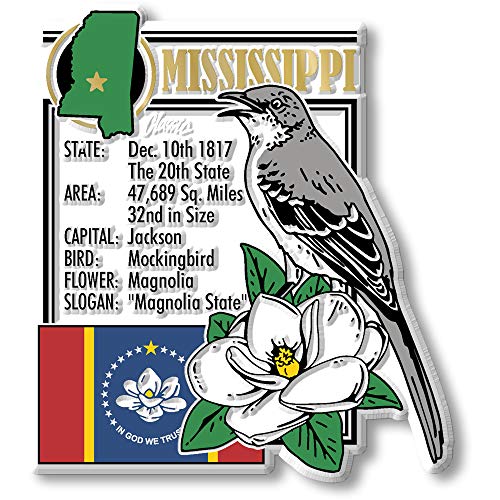 State Geschichte Magnet Mississippi von Classic Accessories