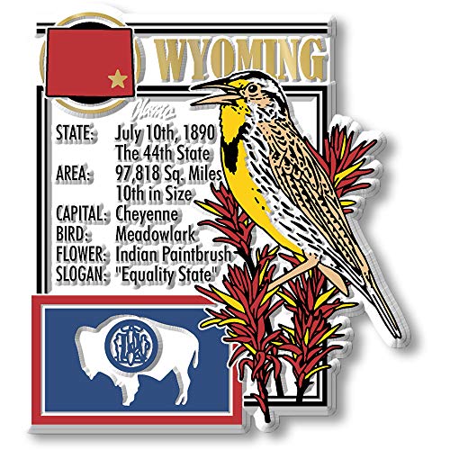 State Geschichte Magnet Wyoming von Classic Accessories