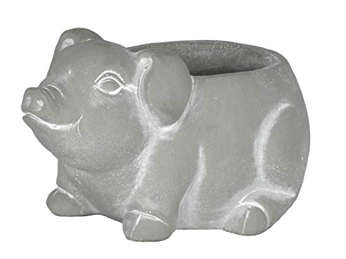 Classic Home and Garden Cement Buddies Pflanzgefäß Ferkel, für Innen- und Außenbereich, mit Ablaufloch, naturgrau, groß, ca. 20,5 cm von Classic Home & Garden
