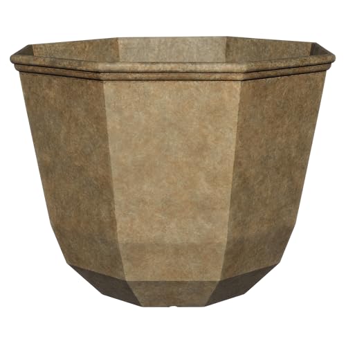 Classic Home and Garden 3/807G/1 Vogue Pflanzgefäß 15 cm Shaina 15" Shaina Earth von Classic Home & Garden