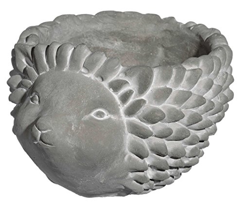 Classic Home and Garden 9/3432/1 Cement Buddies Igel-Pflanzgefäß, groß, Natur von Classic Home & Garden