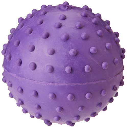 Classic for Dogs Noppenball aus Gummi mit Glocke von CLASSIC