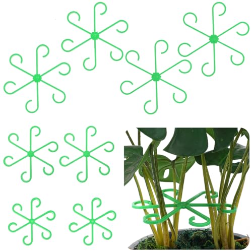 Classicseali 8 Stück Pflanzenstammstütze,Plant Support,Pflanzenstütze Staudenhalter in 4 Größen,Wiederverwendbare Pflanzen Halter mit 6 Haken für Weinreben,Pothos,Rosen,Jasmin,Prunkwinden(Grün) Classicseali 8 Stück Pflanzenstammstütze,Plant Support,Pflanzenstütze Staudenhalter in 4 Größen,Wiederverwendbare Pflanzen Halter mit 6 Haken für Weinreben,Pothos,Rosen,Jasmin,Prunkwinden(Grün) von Classicseali