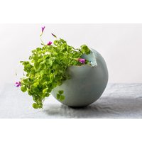 Großer Himmelblauer Keramik-Übertopf, Runde Vase Für Sukkulenten, Kakteen Und Blumen von ClaybyDannah