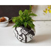 Großer Schwarz-Weißer Keramik-Übertopf Für Sukkulenten Oder Blumen, Runde Dekorative Boho-Chic-Vase, Pflanztopf Wohnzimmer von ClaybyDannah