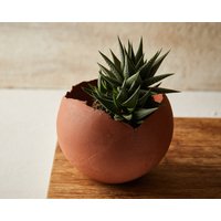 Großer Terrakotta-Blumentopf Aus Keramik Für Den Innenbereich, Sukkulenten-Topf, Ei-Form-Topf, Rustikaler Moderner Keramik-Runder Kakteen-Übertopf von ClaybyDannah