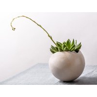Großer Weißer Keramik Übertopf Für Sukkulenten Oder Blumen | Eiform Vase von ClaybyDannah