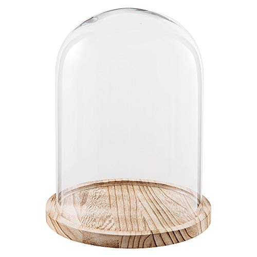 Clayre & Eef 6GL2171 Glasglocke Ø 23 * 29 cm Clayre & Eef 6GL2171 Glasglocke Ø 23 * 29 cm von Clayre & Eef