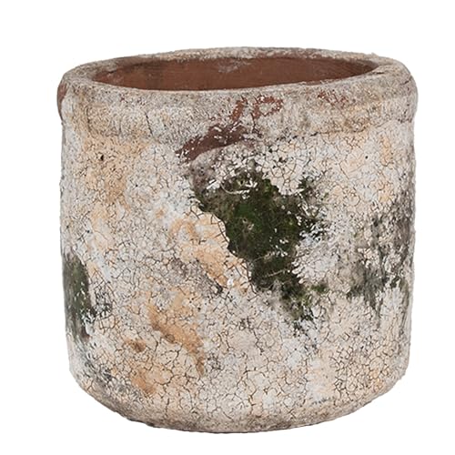 Clayre & Eef Blumentopf Ø 12x11 cm Beige Grün Terrakotta von Clayre & Eef