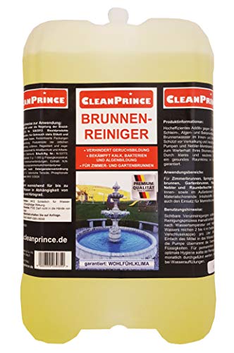 CleanPrince Brunnenreiniger 5 Liter | Brunnen Springbrunnen Algen Wasserklärung Reiniger Gartenbrunnen klären Brunnenklar Brunnenfresh von CleanPrince