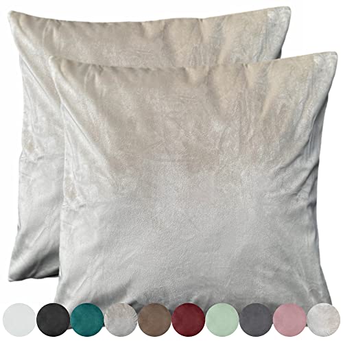 Cleanlevel EST 2016 2er Pack Samt Kissenbezug Kissenhülle Set Sofakissen Samtkissen Dekorative Dekokissen Couchkissen Zierkissen Sofakissenbezug Kissen Wohnzimmer (40x40cm, Beige) von Cleanlevel EST 2016