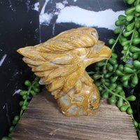 Crazy Lace Adler Mit Druzy Hand-Schnitzerei von ClementineCrystalsUS