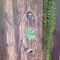 Luftpflanze Aufhänger Und Amethyst Kristall Suncatcher von ClementineCrystalsUS