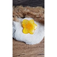Kristallisierter Narzissenblumenmagnet. Blumenmagnete. Magnet Mit Getrockneten Blumen. Gelber Blumenmagnet von CleopheaResinea