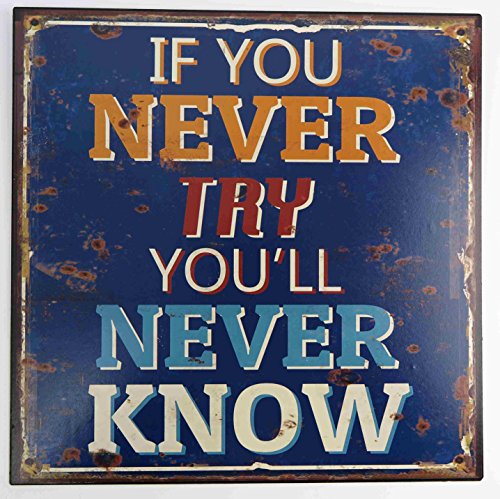 Blechschild IF You Never Try You´LL Never Know Nostalgie Schild Retro (Wenn Du es nie versuchst, wirst du es nie wissen) von Clever-Deko