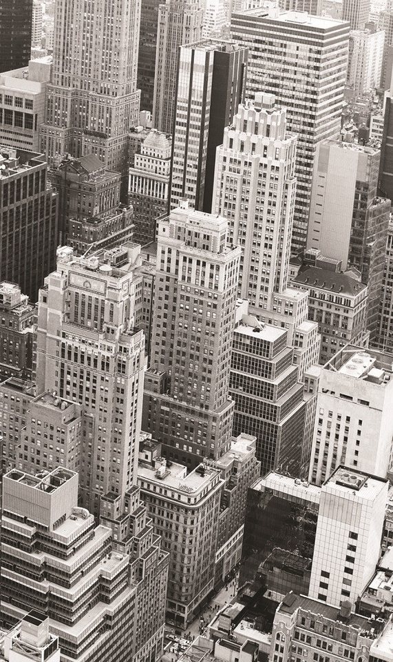 Seitenzugrollo digital bedrucktes Sichtschutzrollo, Motiv: New York, Clever-Kauf-24, Wand- oder Deckenmontage, Wand- oder Deckenmontage Seitenzugrollo digital bedrucktes Sichtschutzrollo, Motiv: New York, Clever-Kauf-24, Wand- oder Deckenmontage, Wand- oder Deckenmontage von Clever-Kauf-24