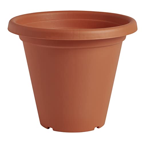 Clever Pots Kunststoff-Pflanztopf, 19/20cm Außen- oder Innentopf mit Entwässerungslöchern, leichtes & wetterfestes Pflanzgefäß für Blumen & Pflanzen, ideal für Garten, Terrasse & Veranda, Terrakotta von Clever Pots