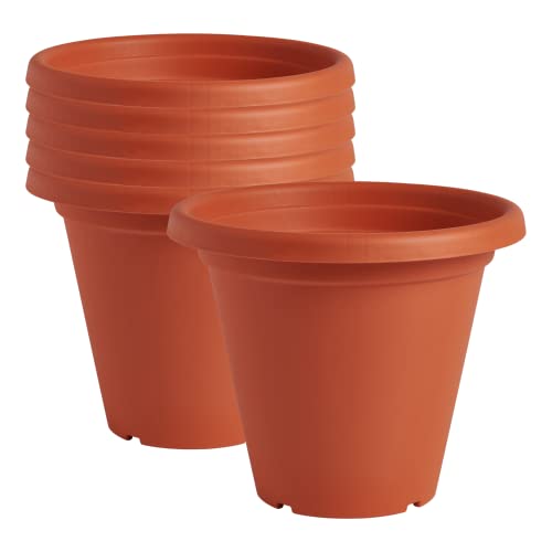 Clever Pots Kunststoff-Pflanztopf, 6x20cm Außen- oder Innentopf mit Entwässerungslöchern, leichtes und wetterfestes Pflanzgefäß für Blumen & Pflanzen, ideal für Garten, Terrasse & Veranda, Terrakotta von Clever Pots