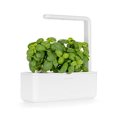 Click and Grow Growbox, Smart Garden, einfacher als Hydroponisches anzuchtsystem, Indoor Garten, kräutergarten, Indoor gewächshaus mit 3 Plant pods dabei von Click & Grow