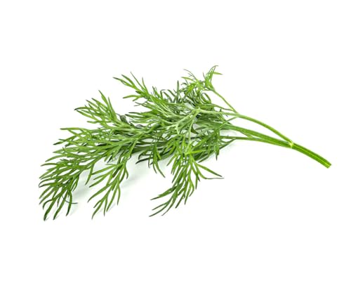 Click and Grow Smart Garden Dill Pflanztöpfe, 9 Stück von Click & Grow