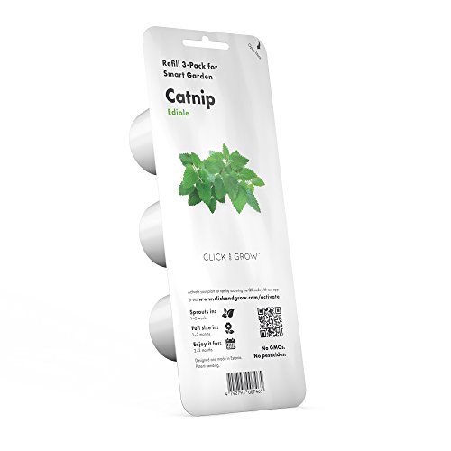 Click and Grow Katzenminze Plant Pod Nachfüllpack Substratkapsel Pflanzenkapseln Smart Garden Indoor Garden 3-er pack von Click & Grow