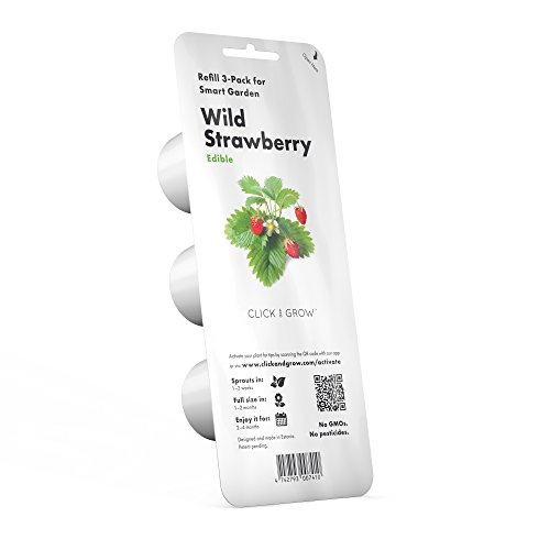 Emsa M52606 Click & Grow Substratkapsel Wilde Erdbeere, Nachfüllpackung für Smart Garden, 3er-Set von Click & Grow