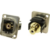 Xlr Adapter Cinch Buchse auf Cinch Buchse Weiß Adapter, Einbau CP30231M CP30231M Cliff Inhalt: 1 St Xlr Adapter Cinch Buchse auf Cinch Buchse Weiß Adapter, Einbau CP30231M CP30231M Cliff Inhalt: 1 St von Cliff