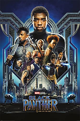 Close Up Black Panther Poster Charaktere (61cm x 91,5cm) von Close Up