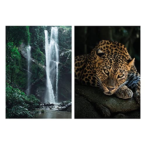 Close Up Dschungel 2er-Set Poster - DIN A3 (29,7 x 42) - Premium Set Regenwald Wanddeko - Natur Kunstdruck Homedecor - ohne Rahmen von Close Up