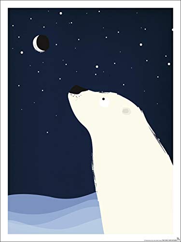 Close Up Kinderzimmer Poster Eisbär Polar (30cm x 40cm) + weiÃŸe Geschenkverpackung. Verschenkfertig! von Close Up