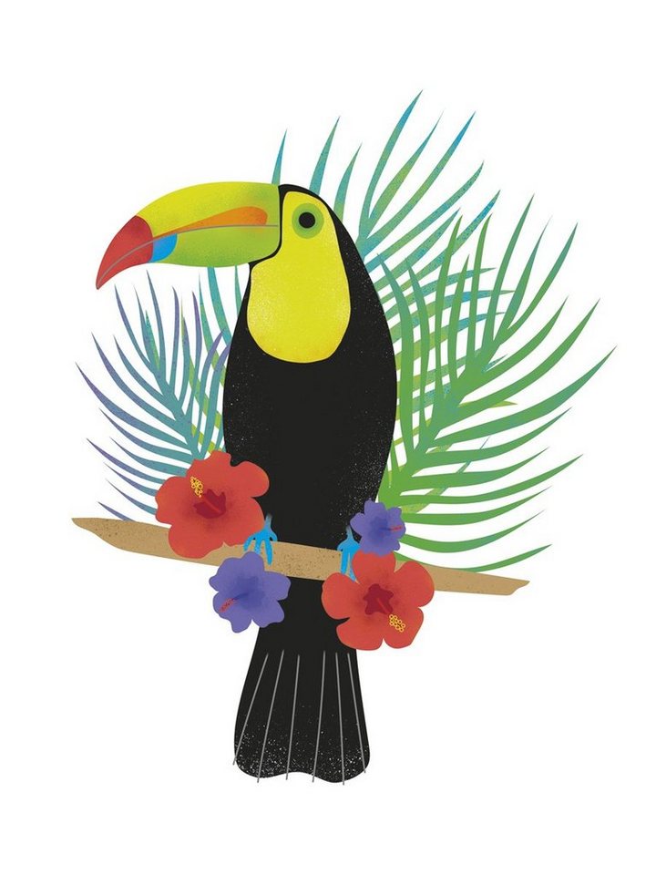 Close Up Poster Toucan Tropics Free Kunstdruck Clara Wells 30 x 40 cm von Close Up