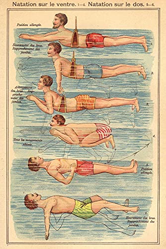 Close Up Natation Poster nach Friedrich Eduard Bilz Anleitung zum Bauch- und Rückenschwimmen 61 cm x 91,5 cm - Vintage Plakat von Close Up