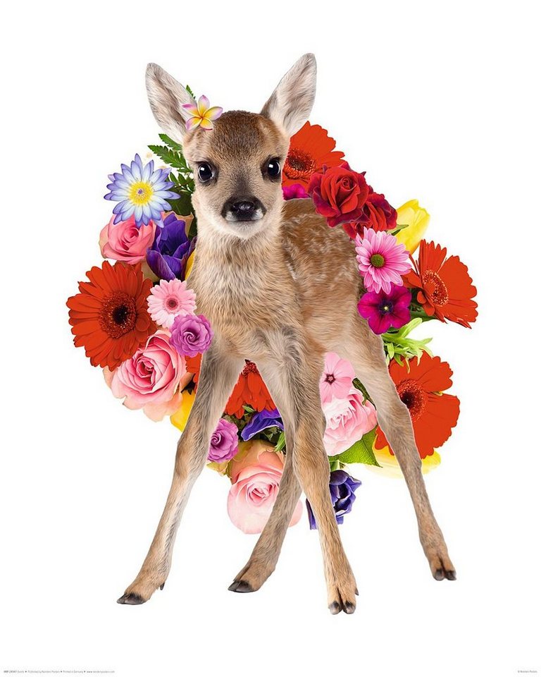 Close Up Poster Bambi Poster Rehkitz mit Blumen 40 x 50 cm von Close Up