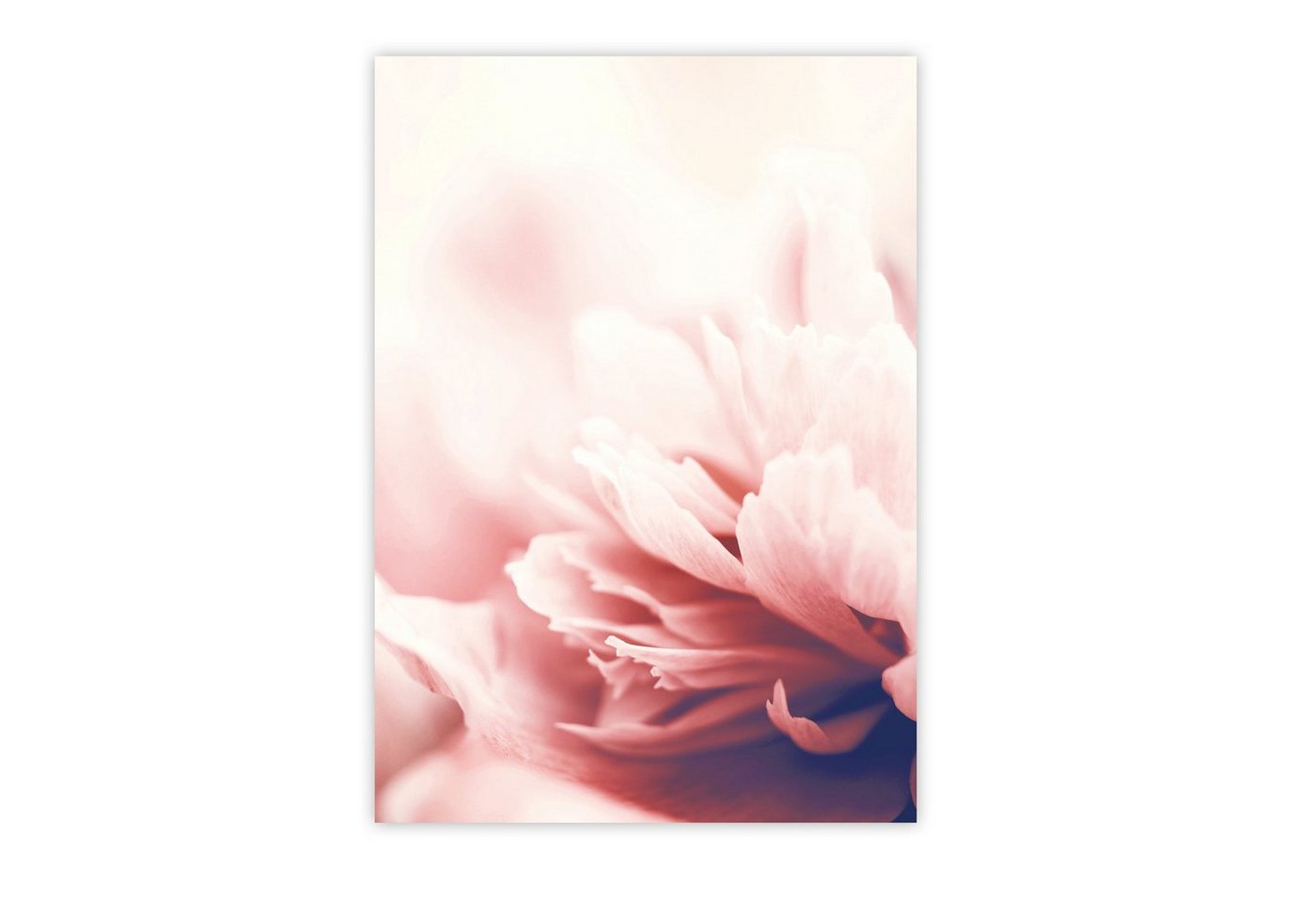 Close Up Poster Blumen Kunstdruck Din A4 21 x 29,7 cm von Close Up