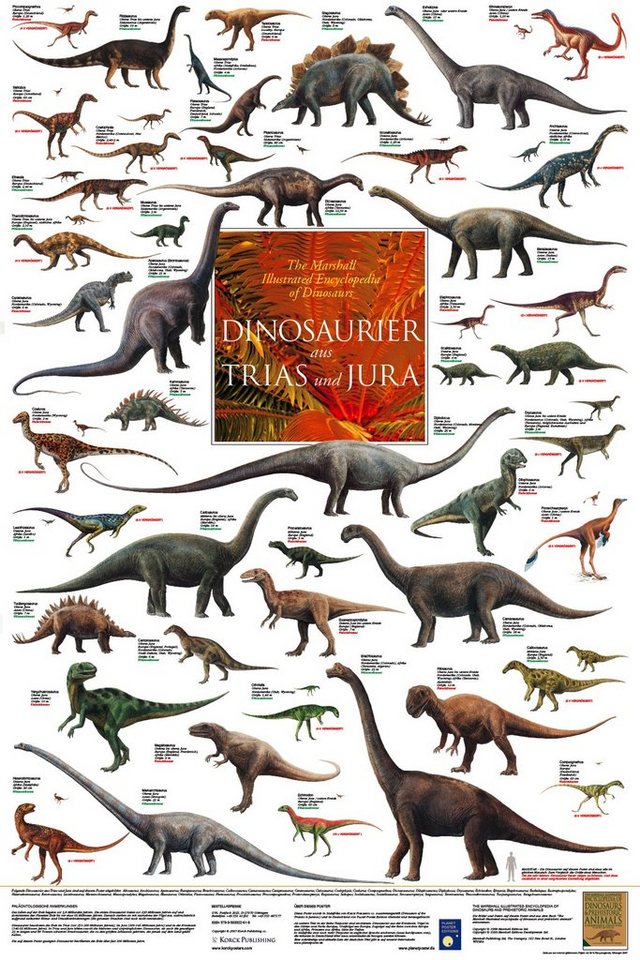 Close Up Poster Dinosaurier aus Trias und Jura Poster laminiert 60 x 90 cm von Close Up