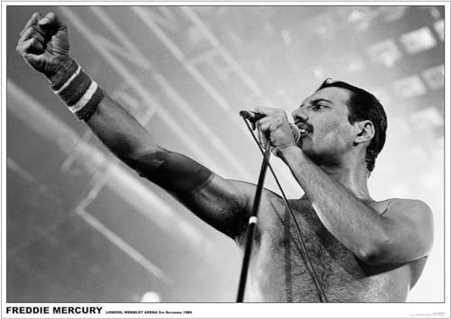 Close Up Queen Poster Freddie Mercury (84cm x 59,5cm) von Close Up