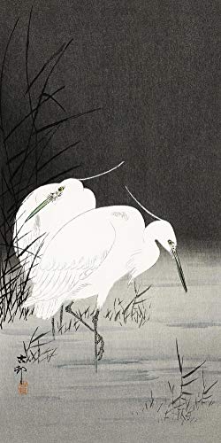 Close Up Two Egrets In The Reeds Kunstdruck Ohara Koson (20cm x 40cm) + Original tesa Powerstrips® (1 Pack/20 STK.) von Close Up