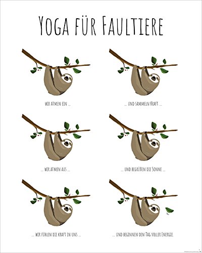 Close Up Yoga für Faultiere - Kunstdruck Janette, Poster - Premium Qualität 170g/m (40 x 50 cm) + weiÃŸe Geschenkverpackung. Verschenkfertig! von Close Up