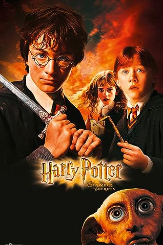 Harry Potter und die Kammer des Schreckens Poster (61cm x 91,5cm) von Close Up