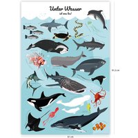 Lernposter Kinder Unterwassertiere - 61 X 91, 5 cm Kinderzimmer Meerestiere Premium Plakat Unter Wasser Ist Was Los von CloseUpShop