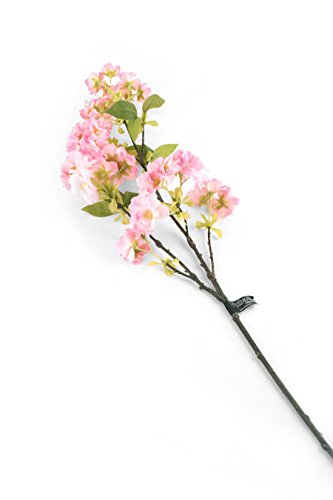 Closer 2 Nature F053DPL Floral Elegance, Künstliche Japanische Kirschblüte, tiefrosa von Closer 2 Nature