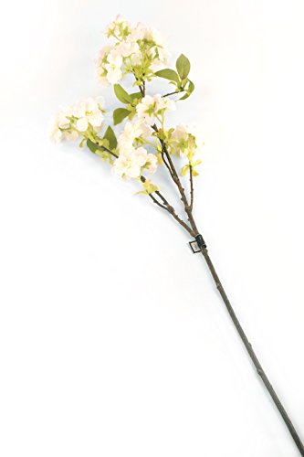 Closer 2 Nature F053LPL Floral Elegance, Künstliche Japanische Kirschblüte mit getupften Blüten 80 cm, weiß / rosa von Closer 2 Nature