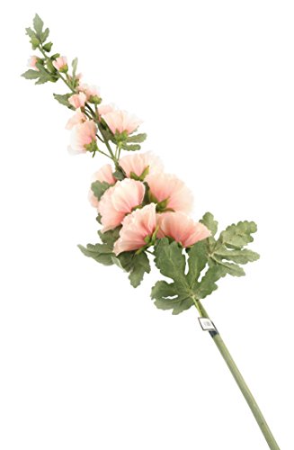 Closer 2 Nature F073PEL Floral Elegance, Stockrose, 118 cm, Einzelstamm, pfirsich von Closer 2 Nature